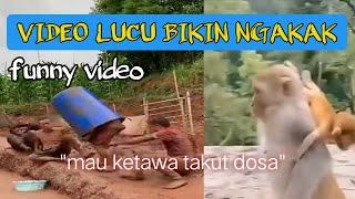 Kumpulan Video Lucu bikin ngakak sakit perut terbaru _funny video part7