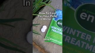 How to Care for Your Pond In Winter