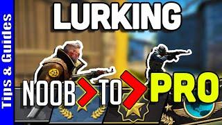 4 Levels of Lurkers  Beginner to Pro