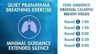 Extended Silence Pranayama - Minimal Verbal Guidance  Calming Exercise  3 Minute Breath-Hold