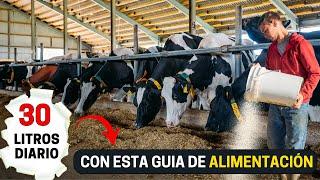 Así es la dieta de una vaca lechera Guía para la alimentación y nutrición del ganado lechero.