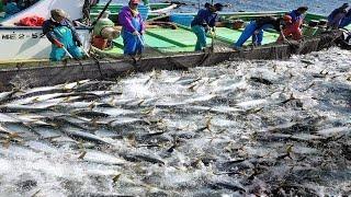 Everyone Should Watch This Fishermens Video - Catch Hundreds Tons Fish With Big Nets On The Sea #02