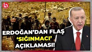 Erdoğanın Suriyeli sığınmacılar için planı buymuş Suriyeli misafirlerimiz...