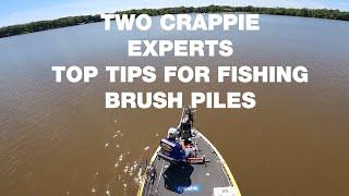Two Crappie Experts Top Tips for Brush Piles