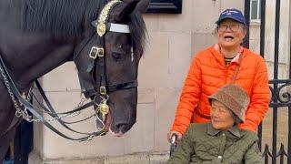 Heartwarming Moments Kings Guard Did This With His Horse to A Special Tourist from Across the Pond