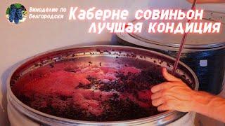 Каберне совиньон. Лучшая кондиция в моей жизни Какое будет вино?