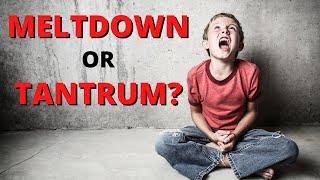 MELTDOWN VS. TANTRUM