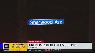 Man shot and killed in Sheraden