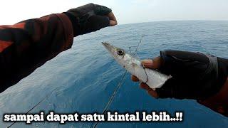 wajib pakai umpan besar jika ingin dapat ikan besar kepulauan seribu