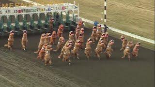 VIDEO Dinosaurs take the track in viral T-Rex races