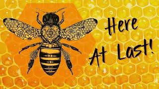 Introducing the Bee Sisterhood Oracle Deck  Honey Bee Meaning & Sample Reading