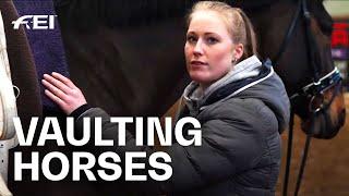 Our Horses are Athletes as well  Inside the Vault  Guest Vlog