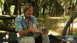 Austin Stevens - Snakemaster - In Search of the Giant Anaconda
