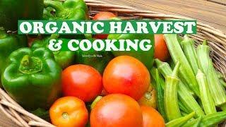 ORGANIC HARVEST 2018 USA - Cooking Vegetables l Serenity with Maia