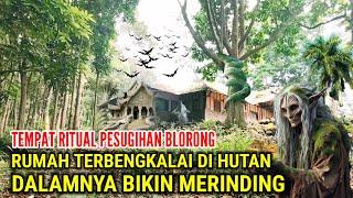 Ngeri  Rumah Terbengkalai Didalam Hutan Tempat Ritual Pesugihan Blorong