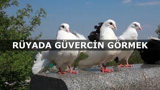 Rüyada Güvercin Görmek  İslami Rüya Tabiri  Dini Rüya Tabirleri