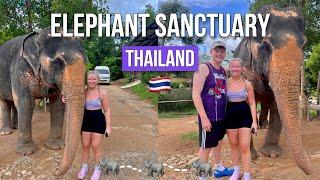 ELEPHANT JUNGLE SANCTUARY PHUKET   Swimming and Washing Elephants   Backpacking Thailand