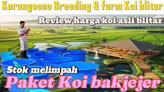Bak jejer full stok & fariasi jenis paket Koi di petani inikarangsono Breeding & farm Koi