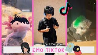 Tonight will be the night that I will Fall for You  Emo Tiktok Audio