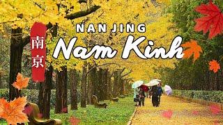 NAM KINH - TÌNH YÊU CÒN MÃI - Du Lịch Trung Quốc