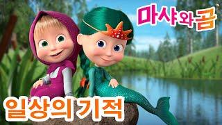 마샤와 곰 ‍️  일상의 기적  Masha and the Bear