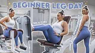 BEGINNER LEG DAY  Using Basic Gym Equipment