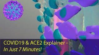 COVID19 & ACE2 Explainer - In Just 7 Minutes