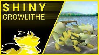 Shiny Growlithe in Pokemon Crystal Clear + Showcase in Pokemon Stadium 2