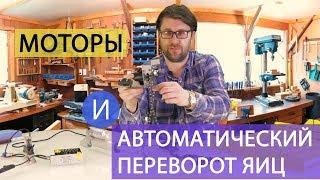 ШКОЛА ИНКУБАТОРОСТРОЕНИЯ №7 моторы и автоматический переворот яиц для инкубатора своими руками