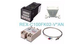 REX-C100 temperature controller