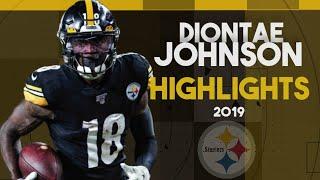 Diontae Johnson Highlightsᴴᴰ 2019 Season  Pittsburgh Steelers Highlights  Diontae Johnson Fantasy
