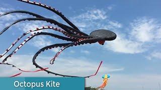 Cool kites Youve never seen before with footage - UTTRAYAN Special... by ITOPINGS