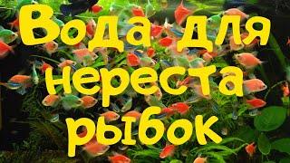 ОСМОС В АКВАРИУМИСТИКЕ. Какую воду я использую для нереста рыб.