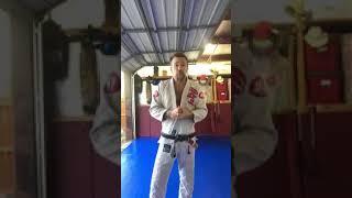 Sean Patrick Flanery How to Defeat a high level judoka