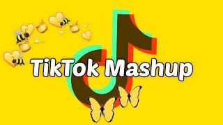 TikTok Mashup 2021 not clean