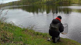 237. These Simple Colours Catch Trout - Fly Fishing UK