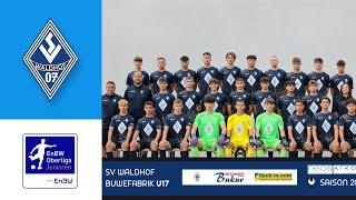 EnBW-Oberliga Spielerportraits B-Junioren SV Waldhof Mannheim 07 202324