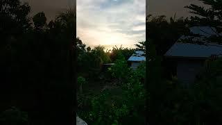 Fajar Baru #feedshorts #shorts #shortvideo #sunrise