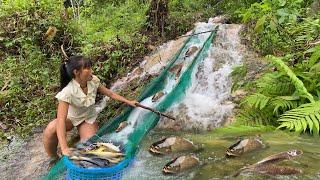 Girl makes fish trap slide on rapid waterfall and harvests a lot of fish