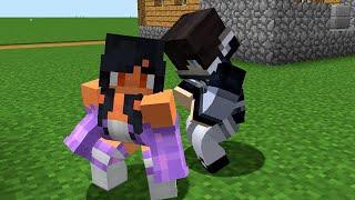 Aphmau and ZANE in Minecraft