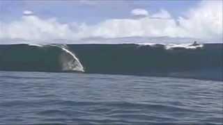 The Surf Dawgs - Bullet Wave - Ventures Big Waves Wipeouts Bikini Babes