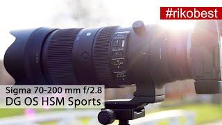 Sigma 70-200 mm f2.8 DG OS HSM Sports - Profi-Objektiv zum super Preis - Riko Best