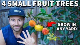 4 AMAZING Fruit Trees People With SMALL YARDS Can Grow