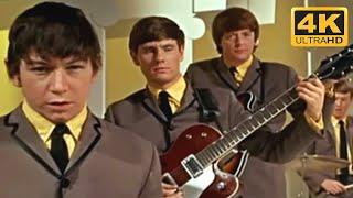 The Animals - House Of The Rising Sun Music Video 4K HD