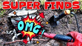 SUPER MEGA PINPOINTER FINDS IN THE FOREST All animals in the forest scattered when I found it...