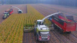 Mais 2022  Corn Harvest XXL  Claas Jaguar 980 & 970  10 Claas & New Holland tractors  Piening