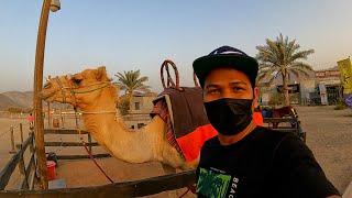 Hatta Heritage Village & Hatta Wadi Hub  Dubai