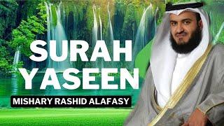 Surah Yasin Full I Heartfelt Recitation by Mishary Rashid Alafasy I سورة يس I #quranicvibes