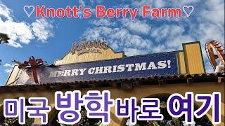 미국 일상 브이로그나츠 베리팜긴 방학에 강력 추천Snow&GlowSnoopys Night Before Christmas Ice ShowChristmas Tree