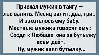 Как Мужик в Тайге к Любаше Ходил Сборник Свежих анекдотов Юмор